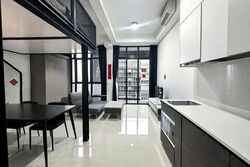 Sims Urban Oasis (D14), Condominium #550989841
